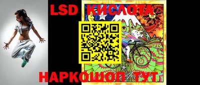герыч Кингисепп