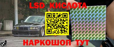герыч Кингисепп