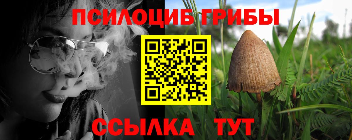 Псилоцибиновые грибы мицелий Коркино