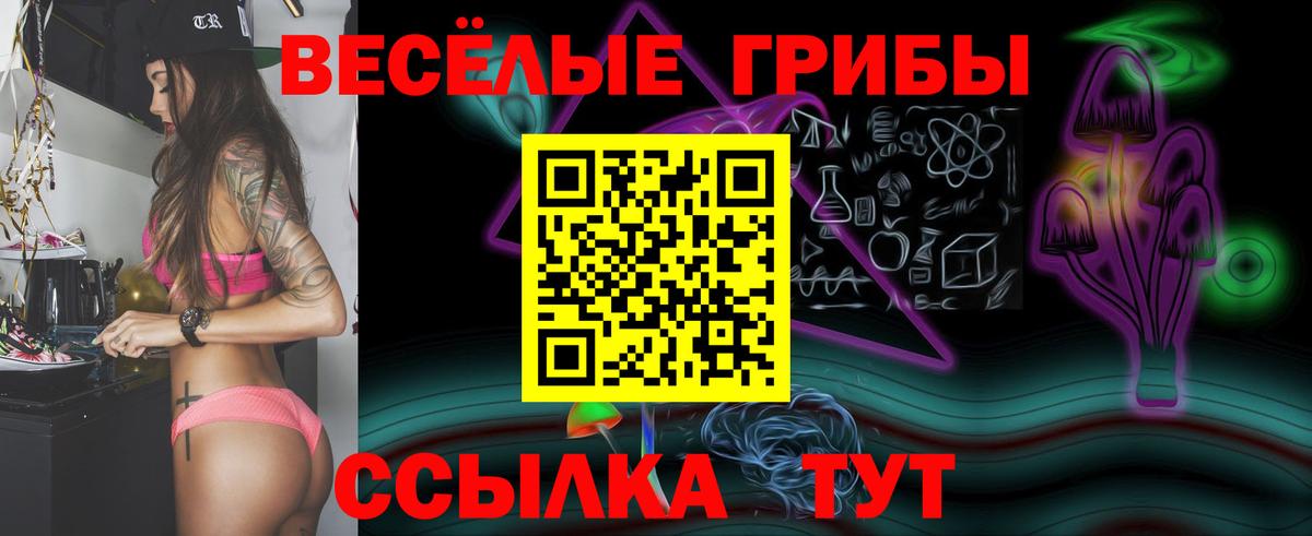 Коркино  Псилоцибиновые грибы мицелий  Вход с VPN 